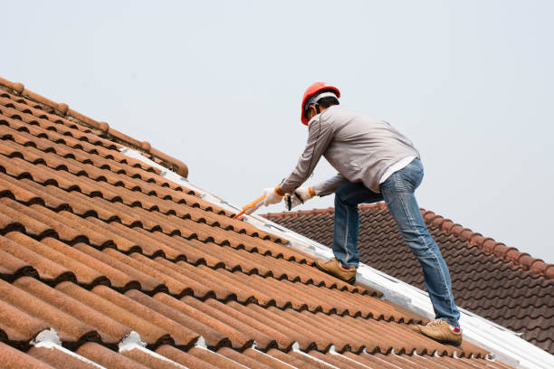 Best Roof Coating and Sealing  in Crowley Lake, CA