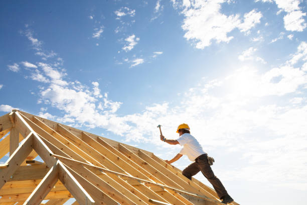 Best Roof Moss and Algae Removal  in Crowley Lake, CA